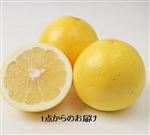 南アフリカ産 グレープフルーツ ホワイト 1個