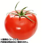 岐阜県などの国内産 トマト 2個入