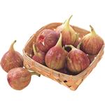 愛知県などの国内産 いちじく 350g 1パック