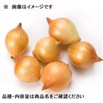 トップバリュグリーンアイオーガニック 北海道などの国内産 小さなたまねぎ 500g