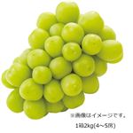 【予約商品】岡山県産 ぶどう（シャインマスカット）晴王 1箱2kg（4～5房） 【9月13日～9月15日のお受取り】