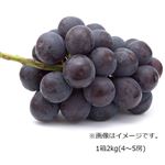 【予約商品】岡山県産 ぶどう（ピオーネ）1箱2kg（4～5房） 【9月13日～9月15日のお受取り】