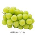 【予約商品】山梨県産他 ぶどう（シャインマスカット）1房 【9月13日～9月15日のお受取り】