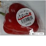 大分県 などの国内産 国産パプリカ（赤）1袋