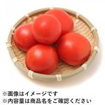 岐阜県などの国内産 トマト 400g入1パック 【8月19日のお受取り】