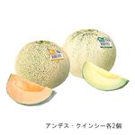 【予約】 茨城県産JAほこた メロン3L4個入（アンデス・クインシー各2個）1箱 【6月25日～6月29日配送】