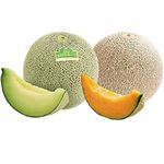 【予約】 茨城県産JAほこた メロン大玉2個入（イバラキング・クインシー）1箱 【6月25日～6月29日配送】