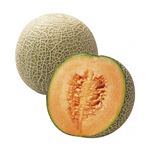 【予約】 茨城県産JA旭村 糖度の見えるクインシーメロン（赤肉）3Lサイズ1個 【6月25日～6月29日配送】