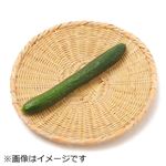高知県などの国内産 きゅうり 1本 【11月4日のお受取り】