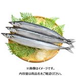 岩手県産 さんま（解凍）1尾 【8月19日のお受取り】