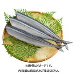 岩手県産 さんま（解凍）（頭取り）1尾 【8月19日のお受取り】