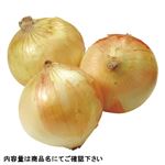佐賀県などの国内産 たまねぎ（大袋）1袋 【7月4日～7月6日の受取り】
