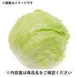 長野県などの国内産 レタス 1個