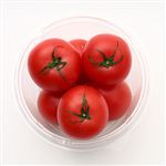 愛知県などの国内産 フルーツトマト 1パック