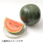 トップバリュ 千葉県などの国内産 小玉すいか（ひとりじめBonBon）3Lサイズ 1個