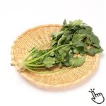 茨城県などの国内産 パクチー 1袋 【7月4日～7月6日の受取り】