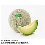 茨城県などの国内産 イバラキングメロン3Lサイズ 1玉 【6月20日のお受取り】