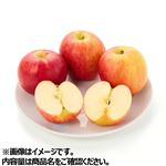 ニュージーランド産 JAZZりんご 1袋 【8月24日のお受取り】