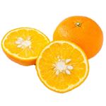 鹿児島県などの国内産 紅甘夏 1個 【3月30日～4月2日 配送】