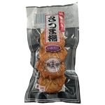立石食品 本場鹿児島さつま揚 いか入り 4個 【3月30日～4月2日 配送】
