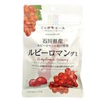 全国農協食品 ニッポンエール石川県産 ルビーロマングミ 40g
