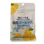 全国農協食品 ニッポンエール神奈川県産 湘南ゴールドグミ 40g