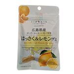 全国農協食品 ニッポンエール広島県産 はっさくレモングミ 40g