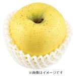 青森県などの国内産 りんご（シナノゴールド）大玉フルーツブーケ 1個