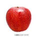青森県などの国内産 りんご（ジョナゴールド）大玉フルーツブーケ 1個