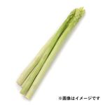 北海道などの国内産 アスパラガス 1束