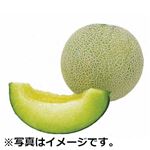 茨城県などの国内産 アンデスメロン  1個