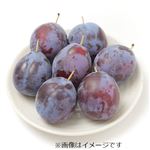 長野県などの国内産 プルーン 400g入 1パック