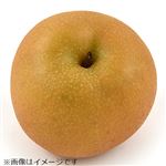 千葉県または茨城県などの国内産 なし（あきづき）4Lサイズ 1個
