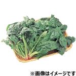 長野県などの国内産 ちぢみほうれん草  1袋