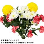 お供え花セット ミニ和花 大 1束【置き楽配送指定不可】
