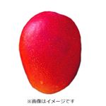 宮崎県などの国内産 マンゴー 350g入 1パック