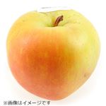 青森県などの国内産 りんご（トキ）1個