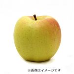 青森県などの国内産 りんご（トキ）Mサイズ 1個