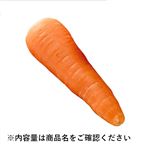 千葉県などの国内産 にんじん 1本