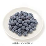 千葉県または静岡県などの国内産 ブルーベリー 100g入 1パック