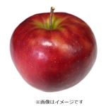 青森県などの国内産 りんご（ふじ）大玉フルーツブーケ 1個