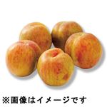 山梨県などの国内産 プラム（ソルダム）400g入 1パック