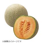 茨城県などの国内産 メロン（クインシー）1個