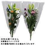 お供え花セット 秋風 1束【置き楽配送指定不可】