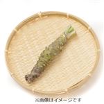 静岡県などの国内産 生わさび  1本