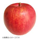長野県または青森県などの国内産 りんご（サンつがる）1個