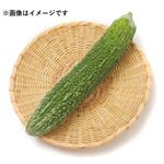 鹿児島県または群馬県などの国内産 ゴーヤー 1本  【6／6～6／8お渡し】