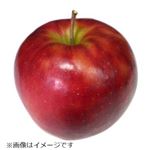 青森県などの国内産 りんご（ジョナゴールド）3Lサイズ 1個