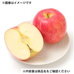青森県などの国内産 りんご（ジョナゴールド）Lサイズ 1個