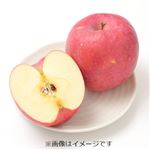 青森県などの国内産 りんご（ふじ）Lサイズ 1個
